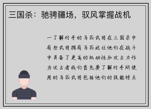 三国杀：驰骋疆场，驭风掌握战机