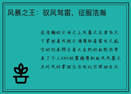 风暴之王：驭风驾雷，征服浩瀚